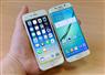 Camnews