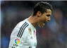 Camnews
