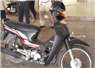 Camnews