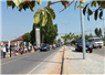 Camnews