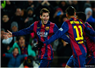 Camnews