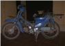 Camnews