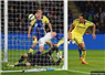 Camnews