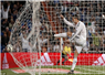 Camnews