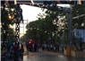 Camnews