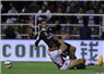 Camnews