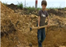 Camnews