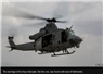 Camnews