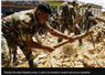 Camnews