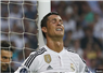 Camnews