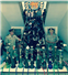Camnews