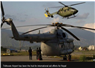 Camnews