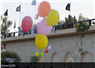 Camnews