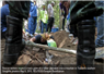 Camnews