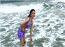 Camnews