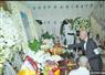 Camnews