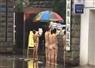 Camnews