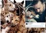 Camnews