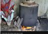 Camnews