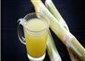 Camnews