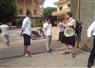 Camnews