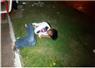 Camnews
