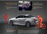 Camnews