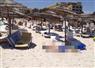 Camnews