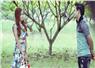 Camnews