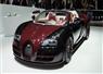 Camnews