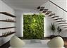 Camnews