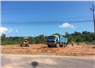 Camnews