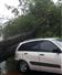 Camnews