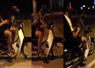 Camnews