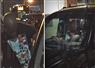 Camnews