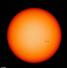 Camnews