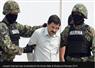 Camnews