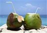 Camnews