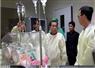 Camnews