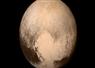 Camnews