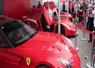 Camnews