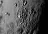 Camnews