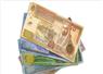 Camnews