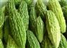Camnews