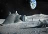 Camnews