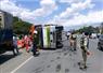 Camnews