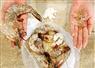 Camnews