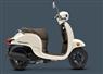 Camnews