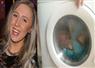 Camnews