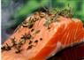 Camnews